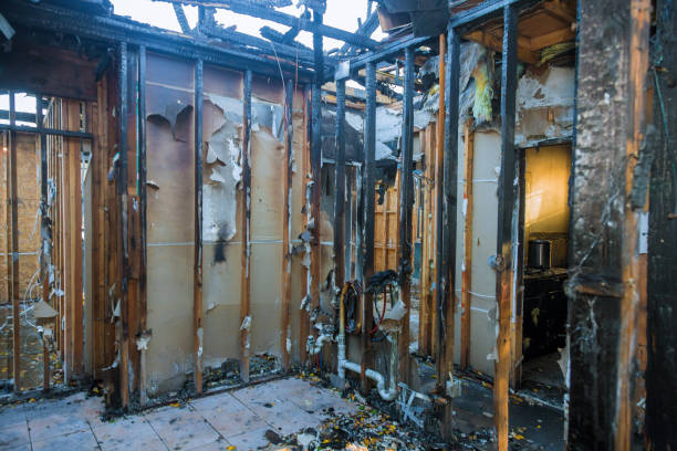 Professional Odor Removal technician working in Dayton, MN