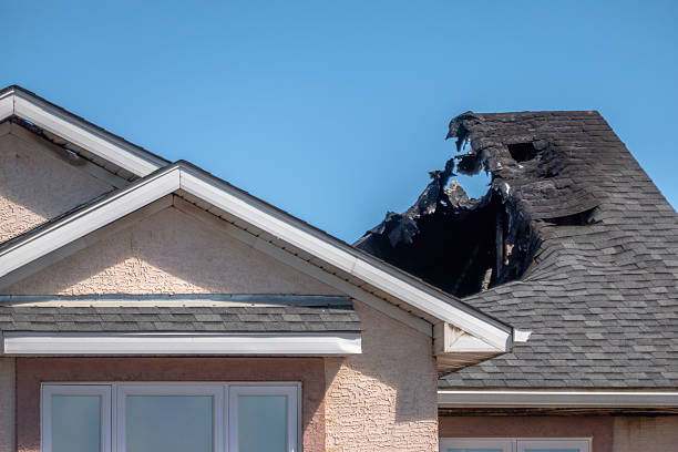 Top rated local Odor Removal specialists in Dayton, MN